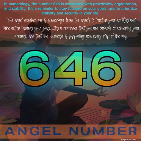 646.con
