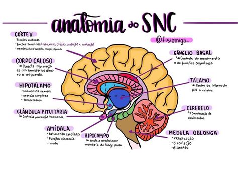 SNC.