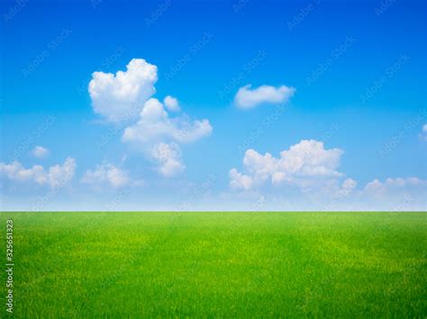 coupleofblankfields
