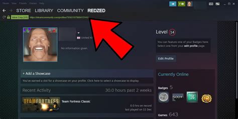 steamfinder